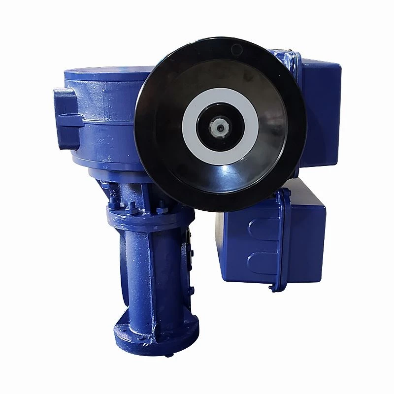 electric actuator electric actuator