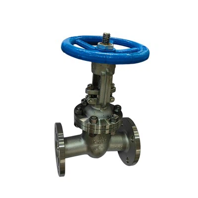 Dn50 roestvrijstalen metalen afdichting schuifafsluiter