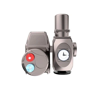 Regeltype Elektromotor voor Bernard