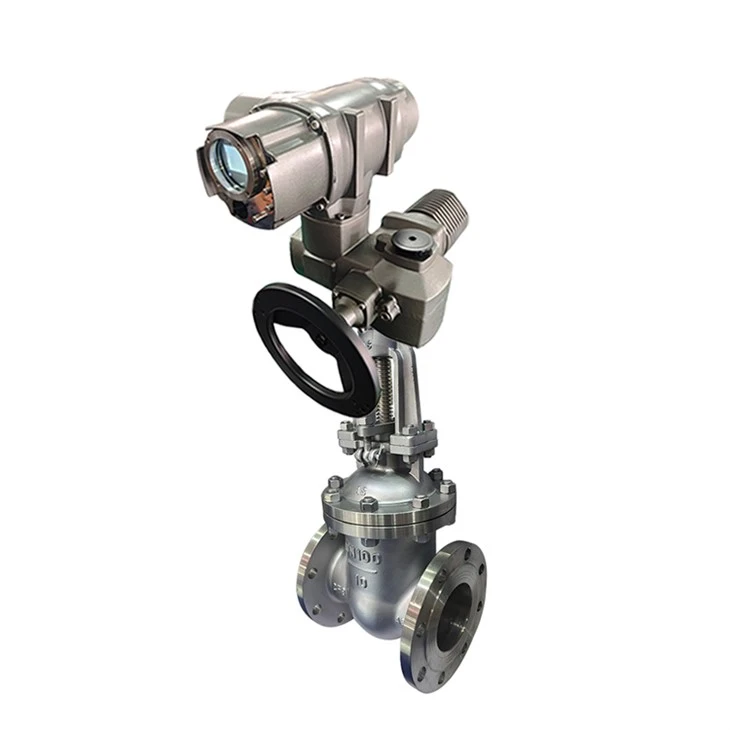 Stainless Steel Flange Control Gate Valve 5K